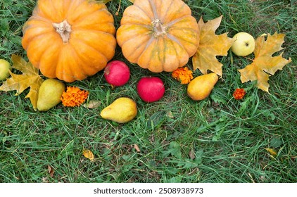 Pumpkins, yellow pears, apples and autumnal colorful maple leaves on grass with space for text. Top view, flat lay - Powered by Shutterstock