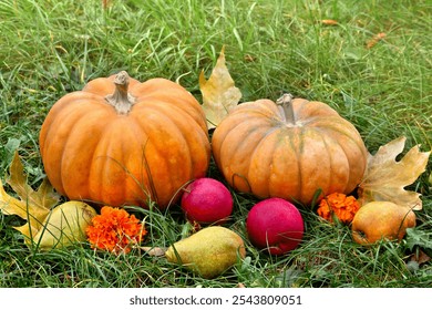 Pumpkins, yellow pears, apples, yellow flowers and autumnal colorful maple leaves on grass with space for text - Powered by Shutterstock