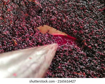 Punch down technique used on red grapes - Shutterstock ID 2165616427