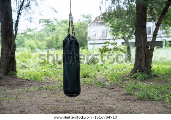 punching bag hang on tree 600w 1516984910