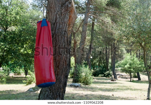 punching bag hanging on tree 600w 1109062208