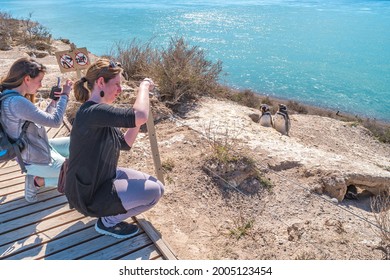 Punta Norte, Chubut, Peninsula Valdes, Argentina - March 16, 2017: Rookery of Magellanic penguins, sight point for watching orcas, elephant seals and sealions at Atlantic Ocean shore
