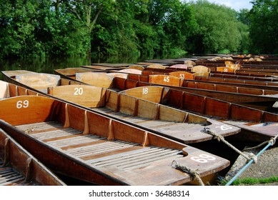 Punts, Cherwell Boathouse Oxford