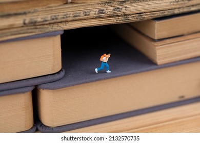 Pupils In The Book Hole Of Miniature World