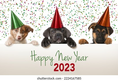 Puppies celebrate happy new year - Shutterstock ID 2224167585