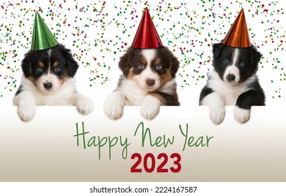 Puppies celebrate happy new year - Shutterstock ID 2224167587