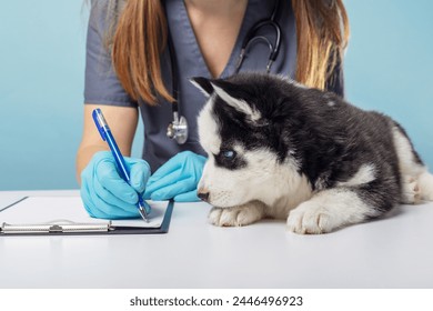 Puppy being examined by veterinarian with stethoscope - Powered by Shutterstock