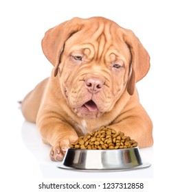 Puppy with bowl of dry dog food. isolated on white background