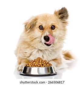 Puppy With A Bowl Of Dry Dog Food. Isolated On White Background