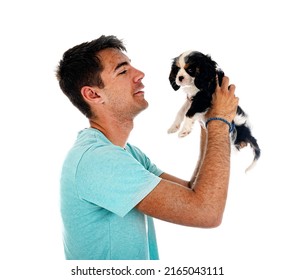 Puppy Cavalier King Charles And Man  In Front Of White Background