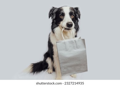 Puppy dog border collie holding shopping bag in mouth isolated on white background. Online or mall shopping shopaholic concept. Black friday Christmas season sale. Mock up - Powered by Shutterstock