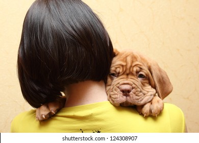 puppy dog breed Dogue de Bordeaux