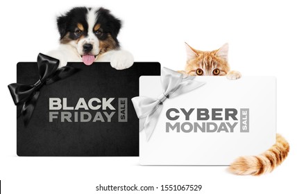 Puppy Dog And Cat Pets Together Showing  Black And Silver Gift Card With Black Friday And Cyber Monday Text Isolated On White Background Blank Template And Copy Space