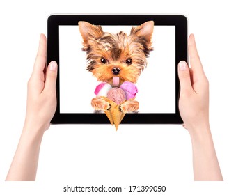 Puppy Dog Licking With Ice Cream On A Digital Tablet Screen