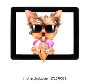 Puppy Dog Licking With Ice Cream On A Digital Tablet Screen