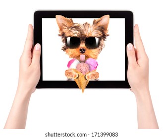 Puppy Dog Licking With Ice Cream On A Digital Tablet Screen