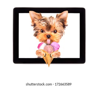 Puppy Dog Licking With Ice Cream On A Digital Tablet Screen