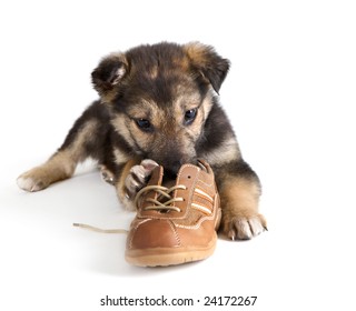 VCERTHDF Pugs Dogs Bulldog Puppy Life Print Footwear Shoe Mens White 