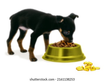 Puppy Eating Kibble With Omega Three, White Background, Copy Space, Healthy Pet Food With Fish Oil, Spot Focus