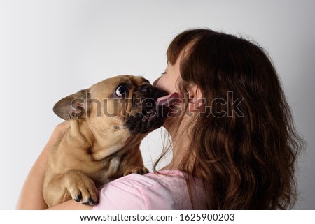 Puppy of french bulldog licks young woman. Small pet and friend