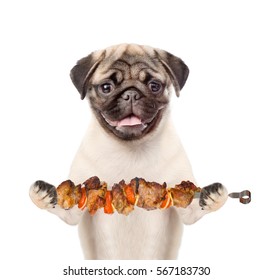 Puppy With Grilled Meat On Skewer. Isolated On White Background