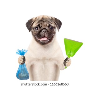 Puppy holds plastic bag and scoop. Concept cleaning up dog droppings. isolated on white background