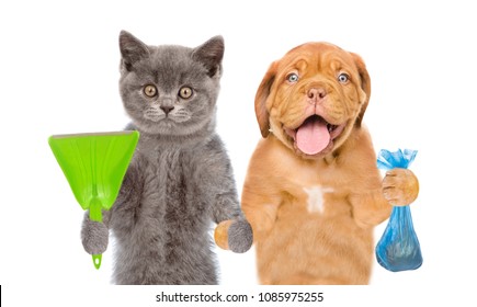 puppy and kitten holds plastic bag and  scoop. Concept cleaning up dog droppings. isolated on white background