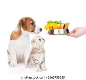 Puppy and kitten look at bowl of vegetables. isolated on white background - Powered by Shutterstock