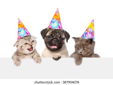 Puppy and kittens in birthday hats peeking from behind empty board. isolated on white background