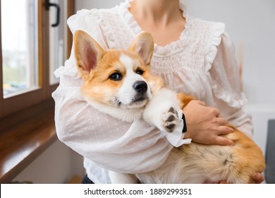 Hand Petting Dog High Res Stock Images Shutterstock