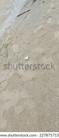 The pure and fine sand on the beach under the foot print7
