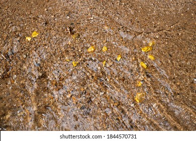 Pure gold nugget ore found in mine with natural water sources