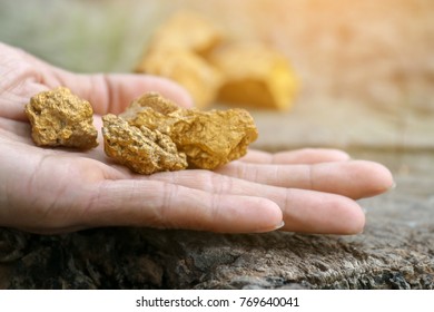 Pure Gold Ore Found In The Mine On Hand.