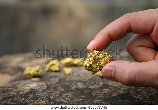 The pure gold ore found in the mine is in the hands\
of men.
