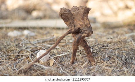 Pure Natural African Wood Statue Looks Like A Real Old Man Walking