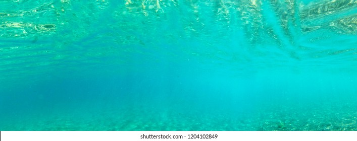 A pure and peaceful panorama taken underwater in a tropical sea with reflections from the water and the sun light, to be used as a graphics element for web design. 