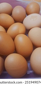 Purebred chicken eggs are very popular eggs that can be made into dishes or cakes. Their thick shells and rough texture are rich in nutrients and vitamins.