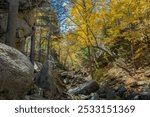 Purgatory Chasm State Reservation Sutton Massachusetts Fall Hiking