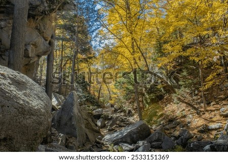 Purgatory Chasm State Reservation Sutton Massachusetts Fall Hiking
