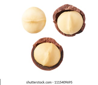 Purified and unrefined macadamia nut isolated on white background,top view