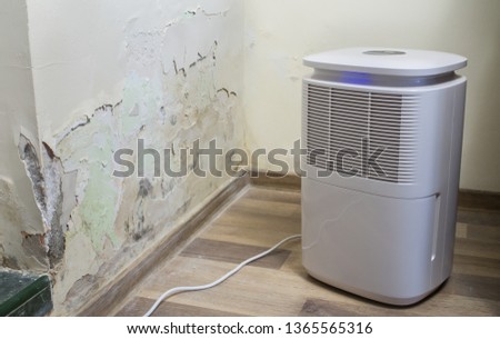 Purifier next to a damaged wall from severe mold and toxic fungus growth. Dehumidifier for water infiltration, moisture, damp and high humidity. Room air filter. 