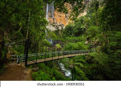 Purlingbrook Falls In The Springbrook National Park