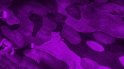 Purple Abstract Pattern. Bark Texture Background. Violet Abstract Background.