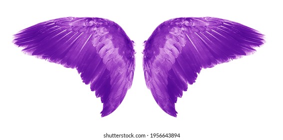 purple angel wings wallpaper