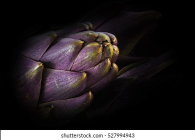 Purple artichoke from italy against a black background with copy space, close up, selected focus