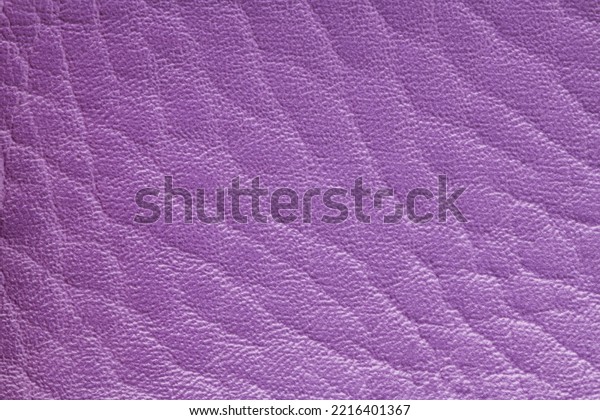 Purple artificial or synthetic leather\
background with neat texture and copy space, colorful fabric sample\
with leather-like finish aimed for upholstery, fashion, sewing or\
footwear projects