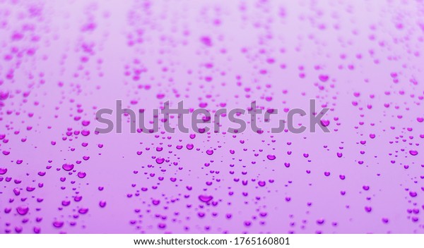 Purple Background Surface Condensation Dew Water Stock Photo 1765160801 ...