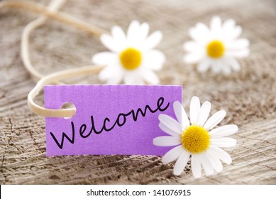 A Purple Banner With Welcome On It And Flowers In The Background