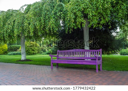
Purple bench in the park in the summer.