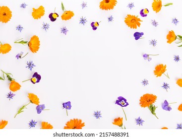 Purple, Blue, Orange Edible Flowers: Viola, Calendula And Borage On White Background.